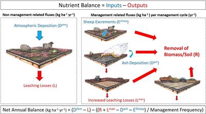Ensuring the Long-Term Provision of Heathland Ecosystem Services—The Importance of a Functional Perspective in Management Decision Frameworks